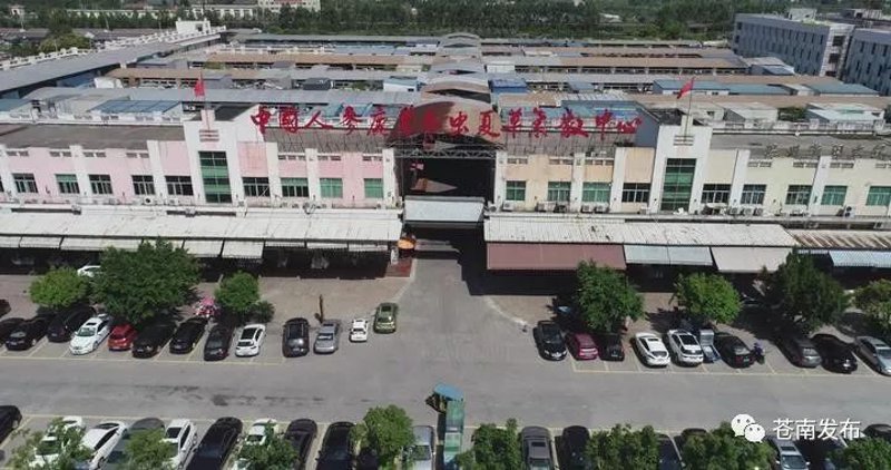 温州贸易行业新星：灿哈公司的成功之路